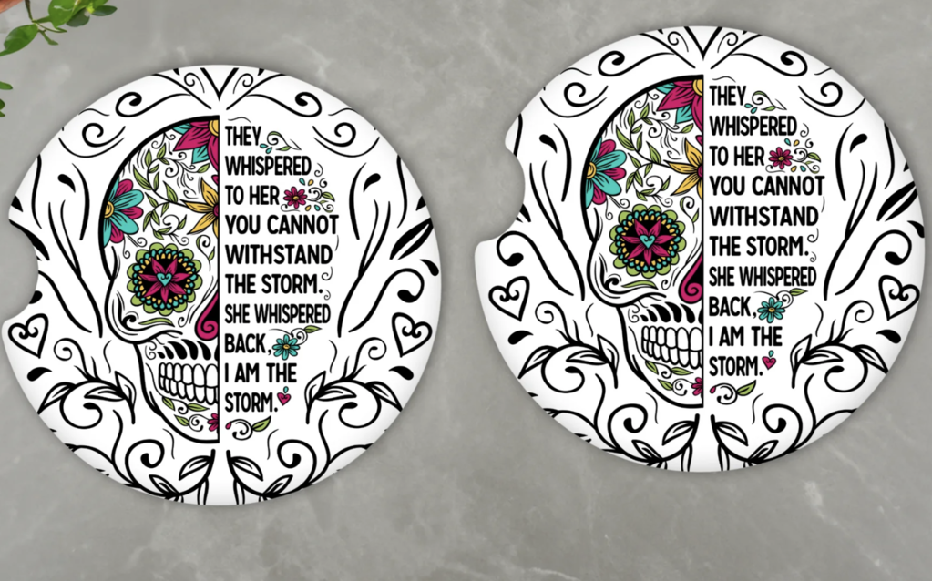 I Am the Storm Car Coasters