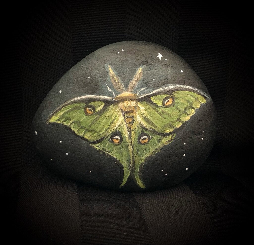 LUNA MOTH
