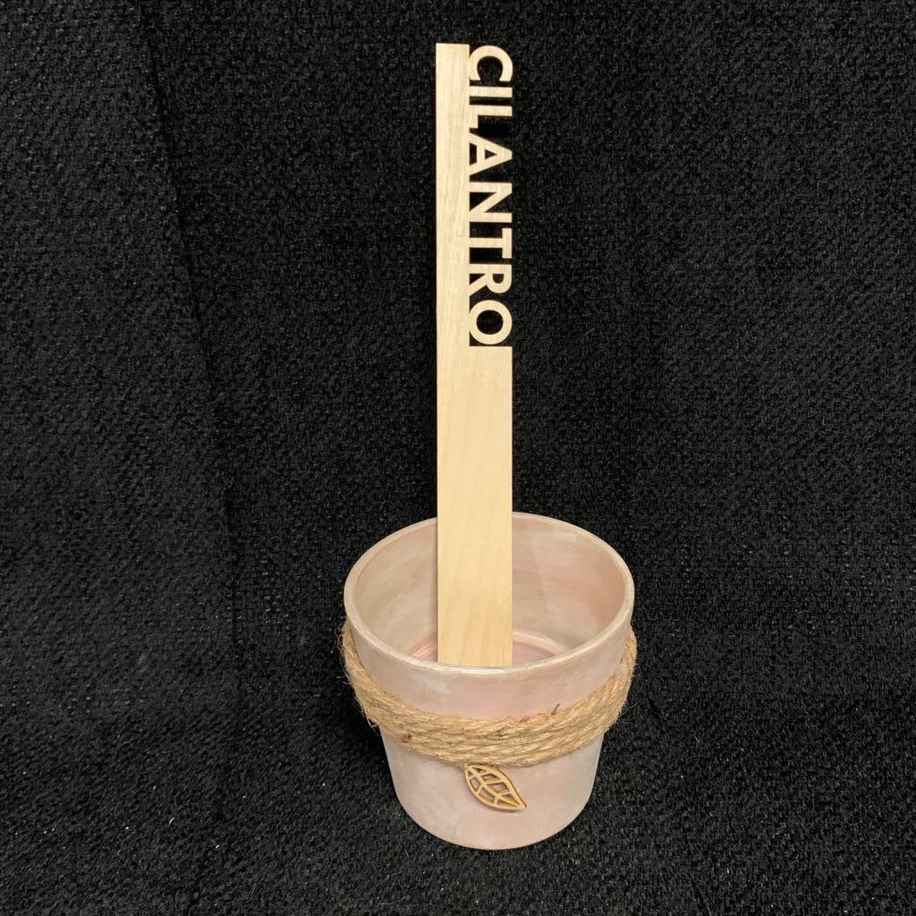 LG VEGGIE GARDEN MARKERS~CILANTRO