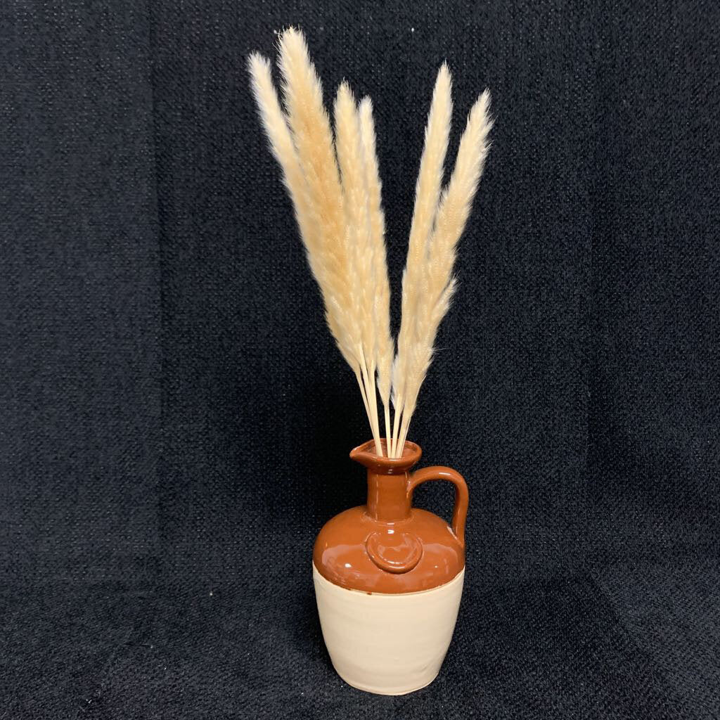 25" PACK OF PAMPAS GRASS