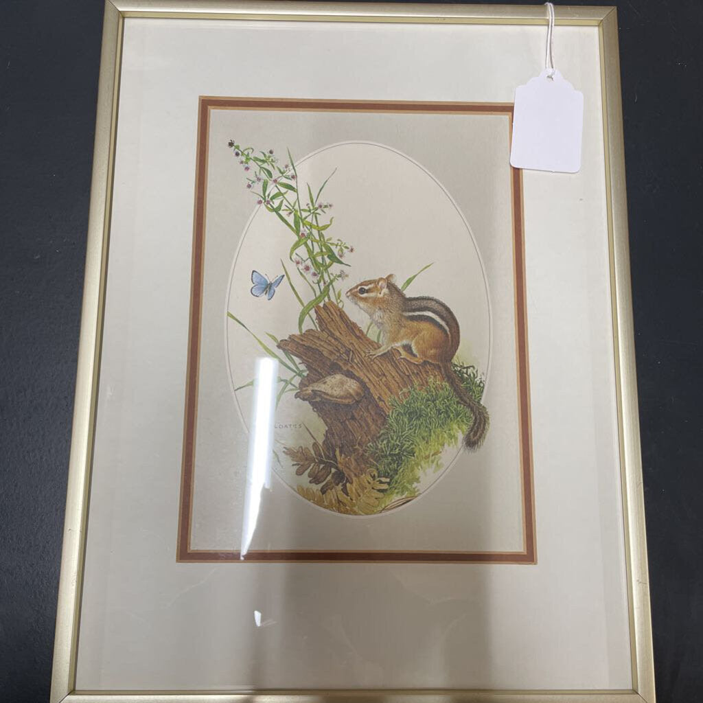 GLEN LOATES FRAMED CHIPMUNK PRINT