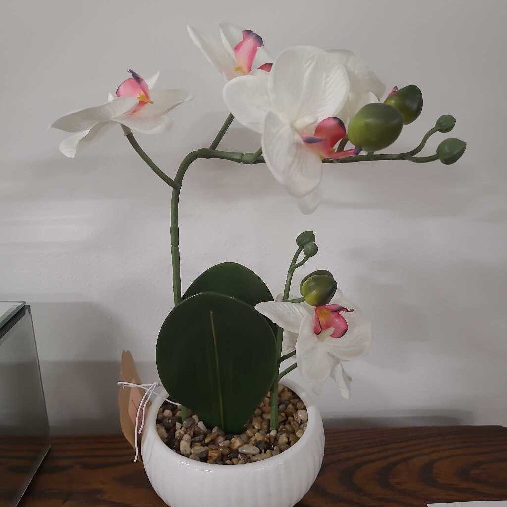 Orchird Floral Decor