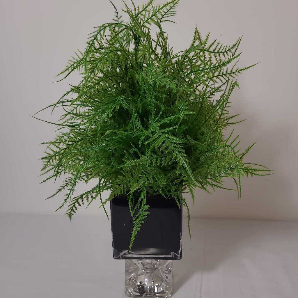 FAUX FERN IN BLACK & GLASS POT