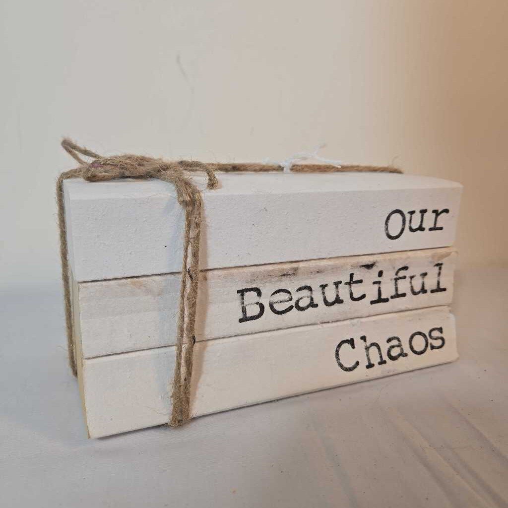 OUR BEAUTIFUL CHAOS