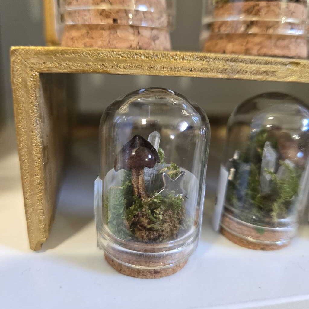 XS DOME - MUSHROOMS & STARS