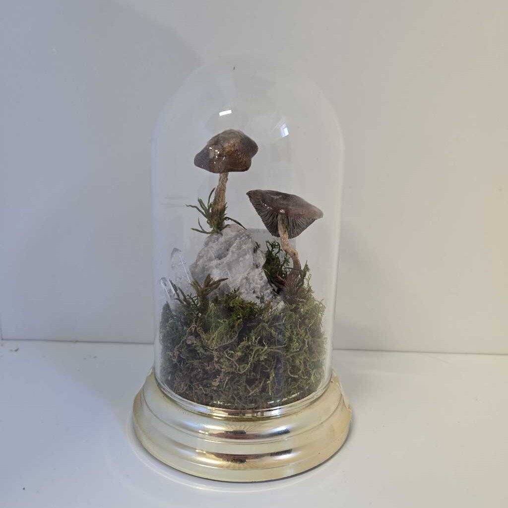 VINTAGE DOME - MUSHROOM & QUARTZ