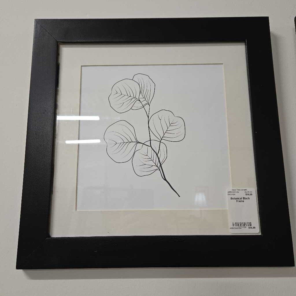 Botanical Black Frame