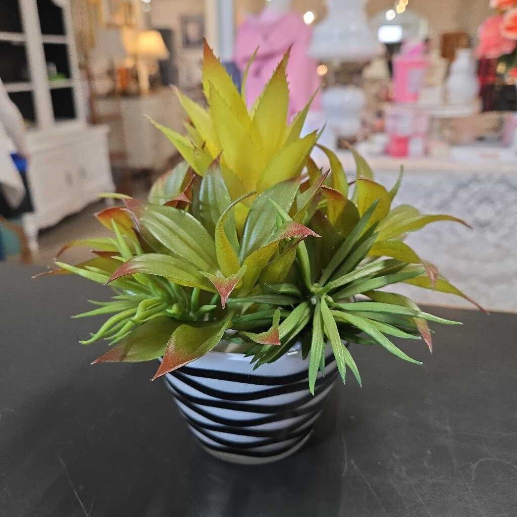 FAUX RED TIPPED SUCCULENTS IN BLACK & WHITE POT