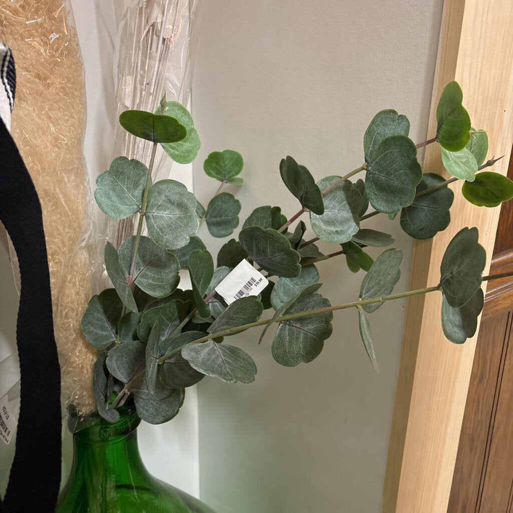 Green Eucalyptus Spray - 38 inch stem