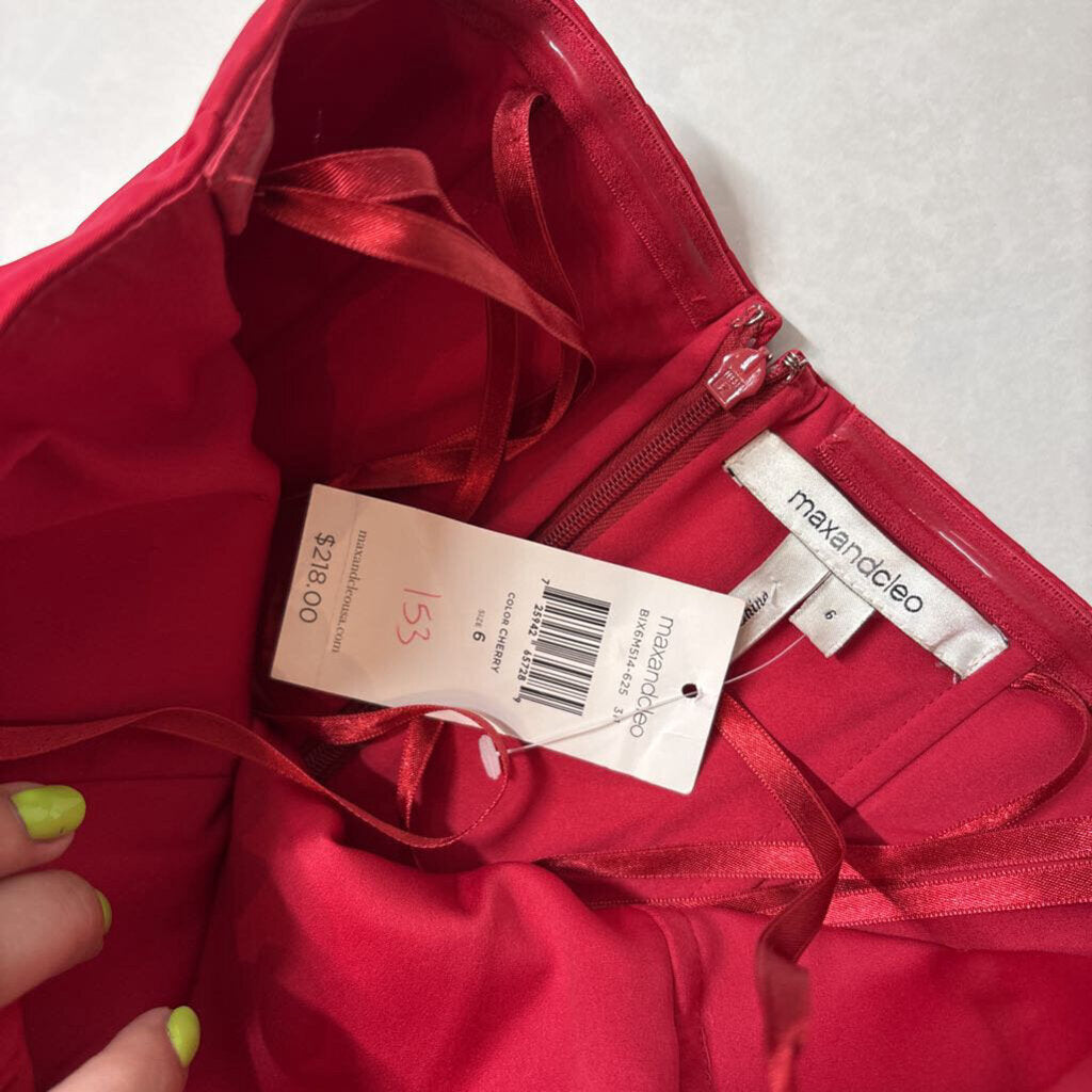 NWT RED ROSE MINI DRESS