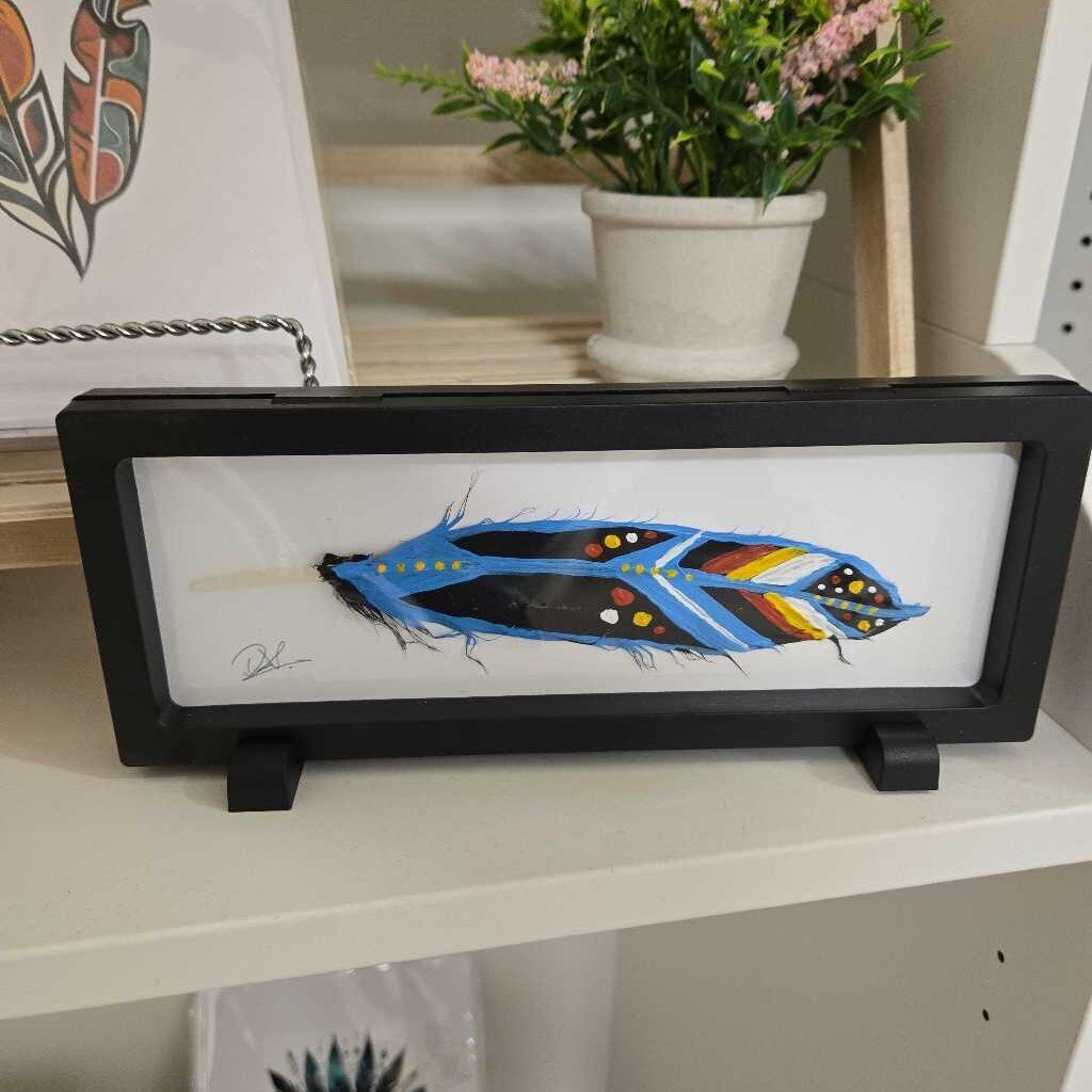 Hand painted Feathers