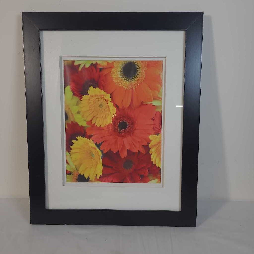 DAISY PRINTS BLACK FRAME
