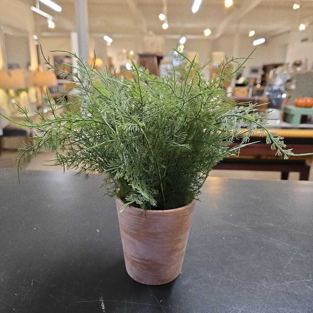 FAUX FERN IN POT