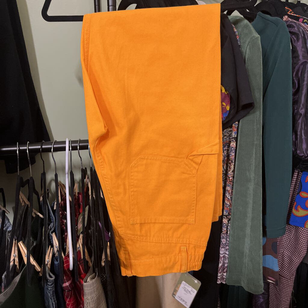 NWT Baggy Carpenter Pant