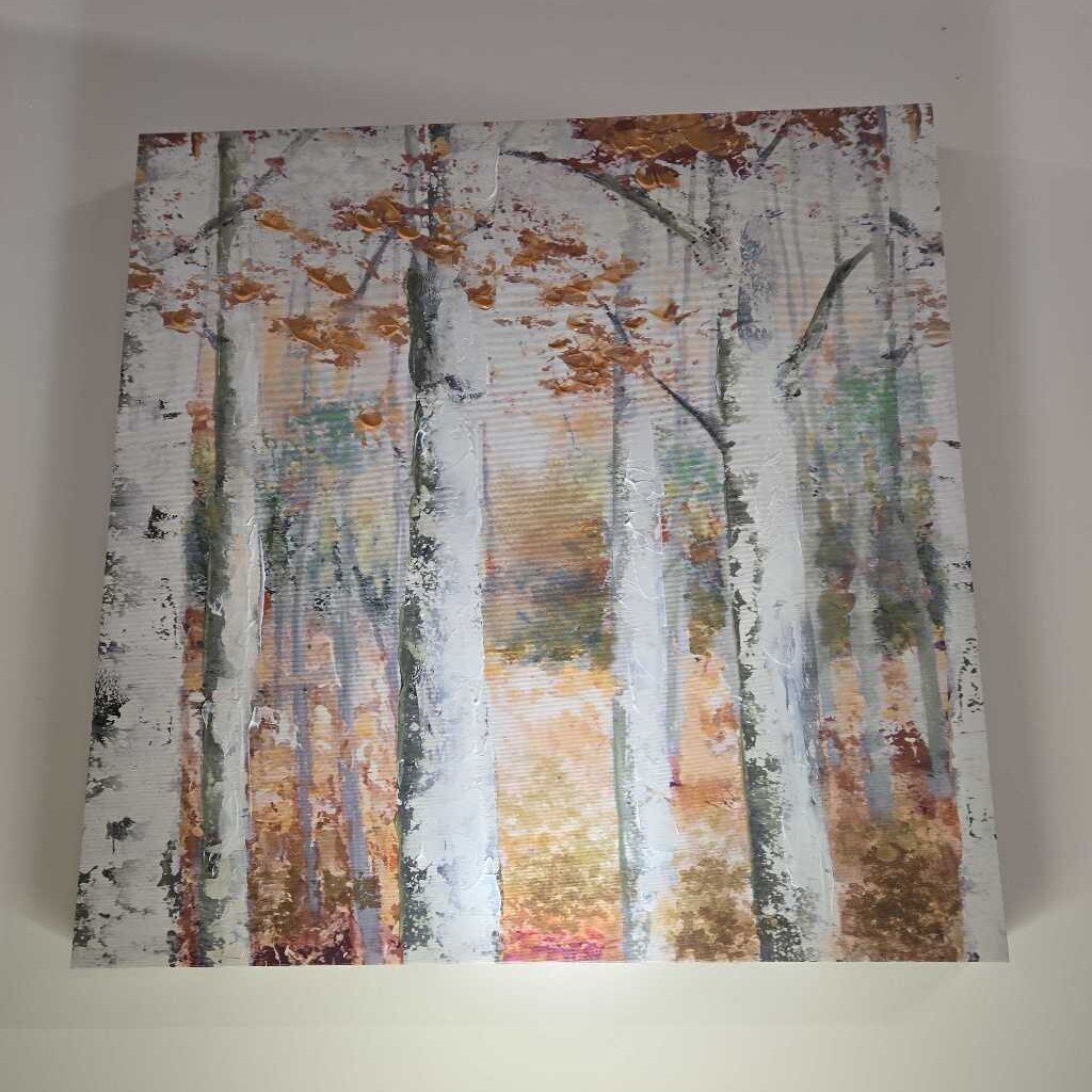 BIRCH TREE CANVAS