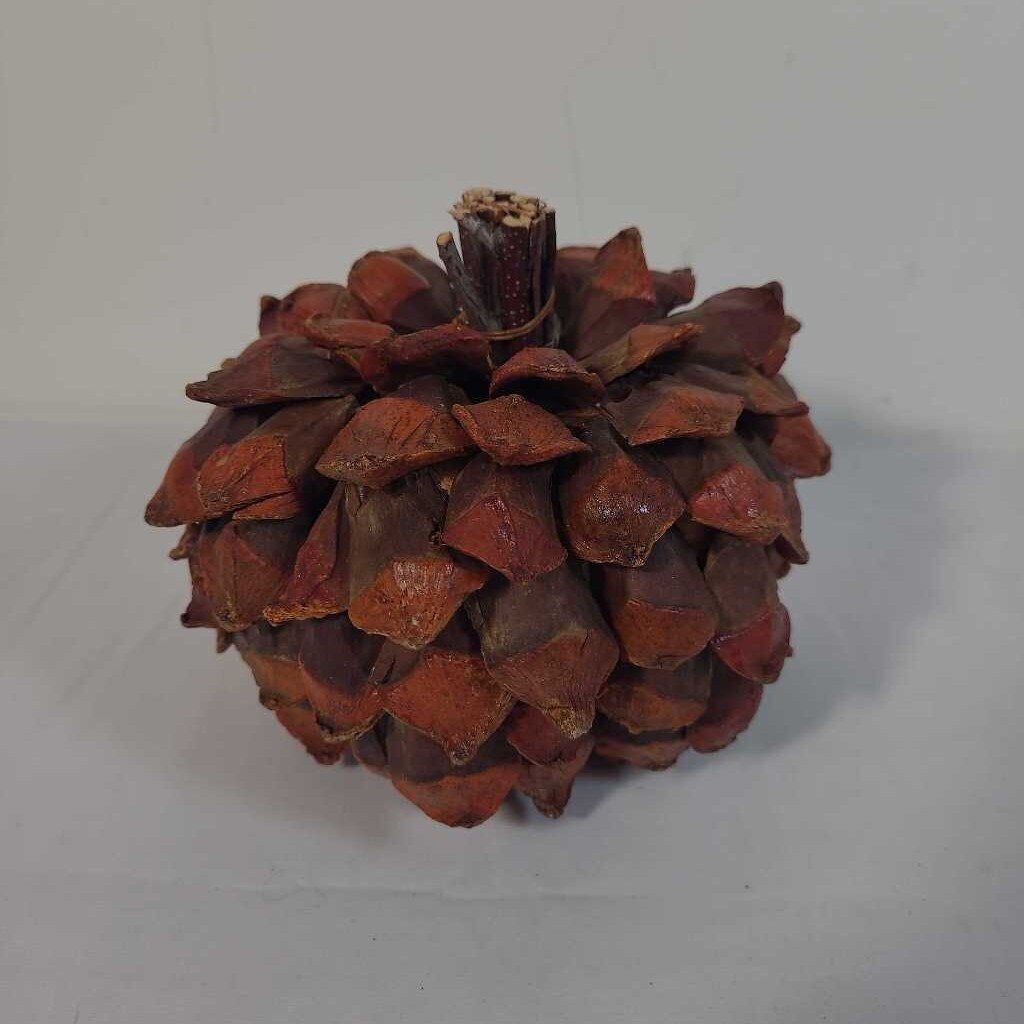 PINECONE APPLE
