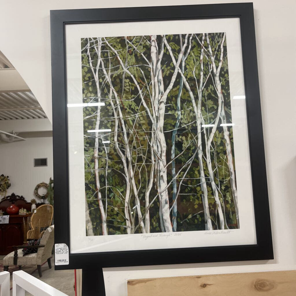 1 Framed Limited Print - "Beyond and Through", 18" x 24", #3/50