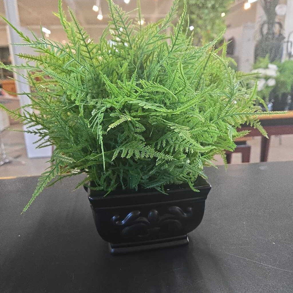 FAUX FERN IN BLACK PLANTER