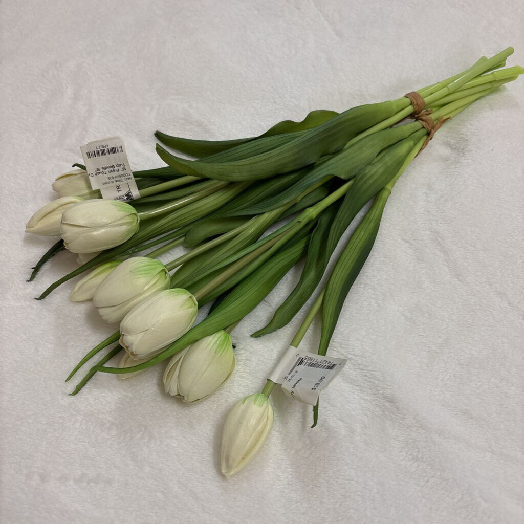 16" Fresh Touch Dynasty White Tulip Bundle