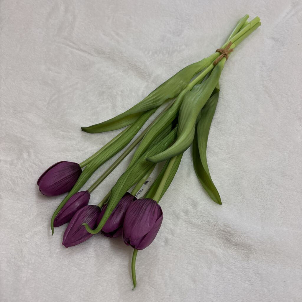 16" Fresh Touch Dynasty Purple Tulip Bundle