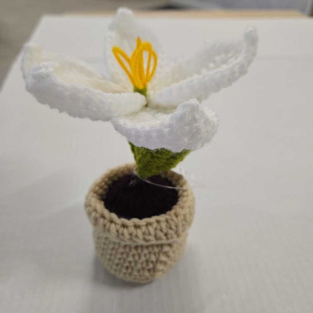 Crochet Lilly Pot