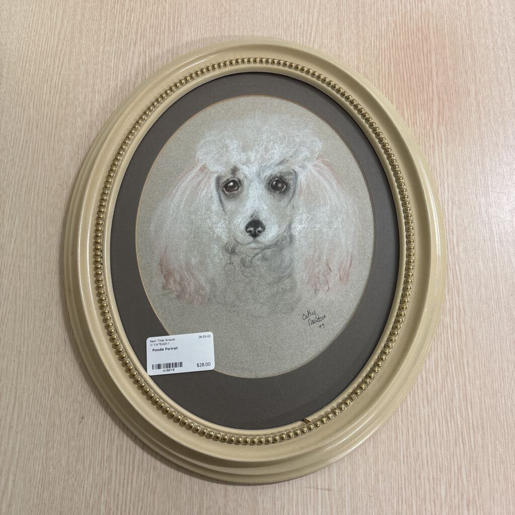 Poodle Portrait