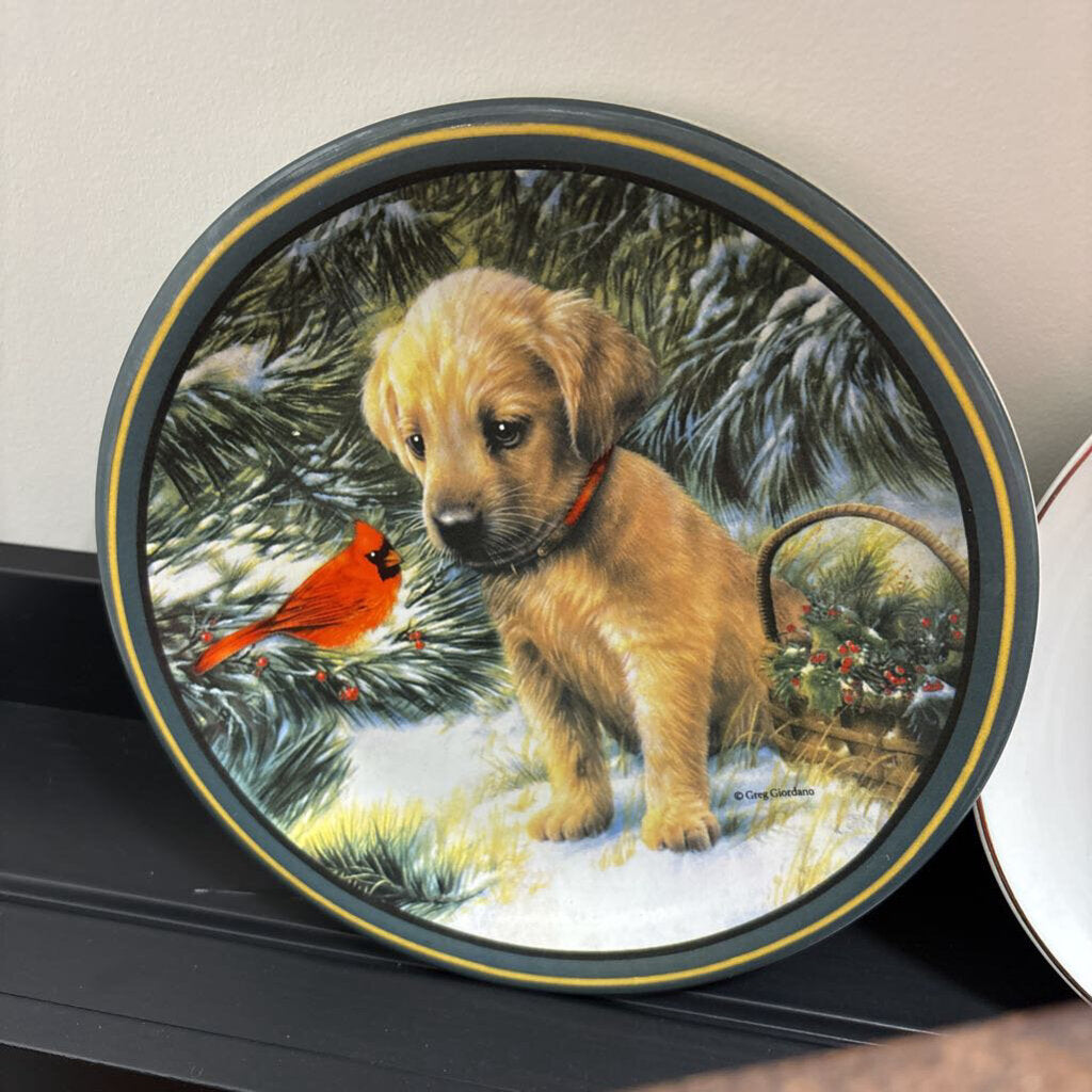 Winter Friends ( Cardinal and Puppy) Greg Giordano