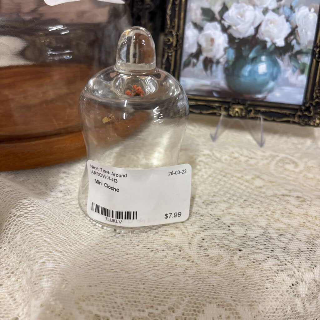 Mini Cloche