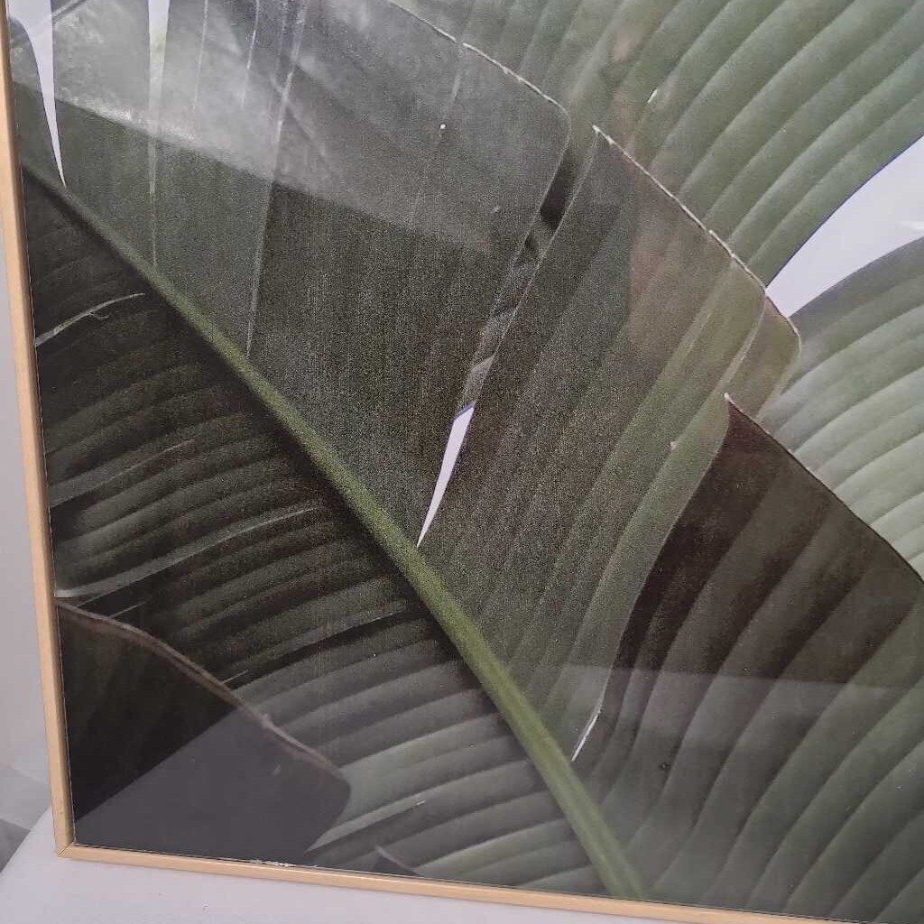 BIRD OF PARADISE WALL ART