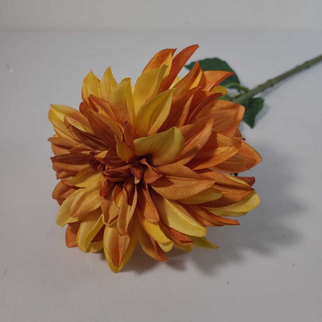 ORANGE VARIGATED DAHLIA
