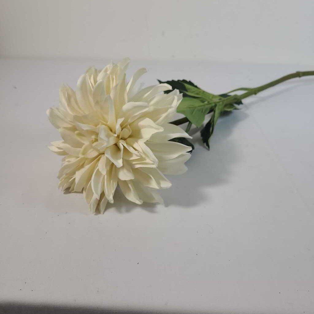 CREAM DAHLIA
