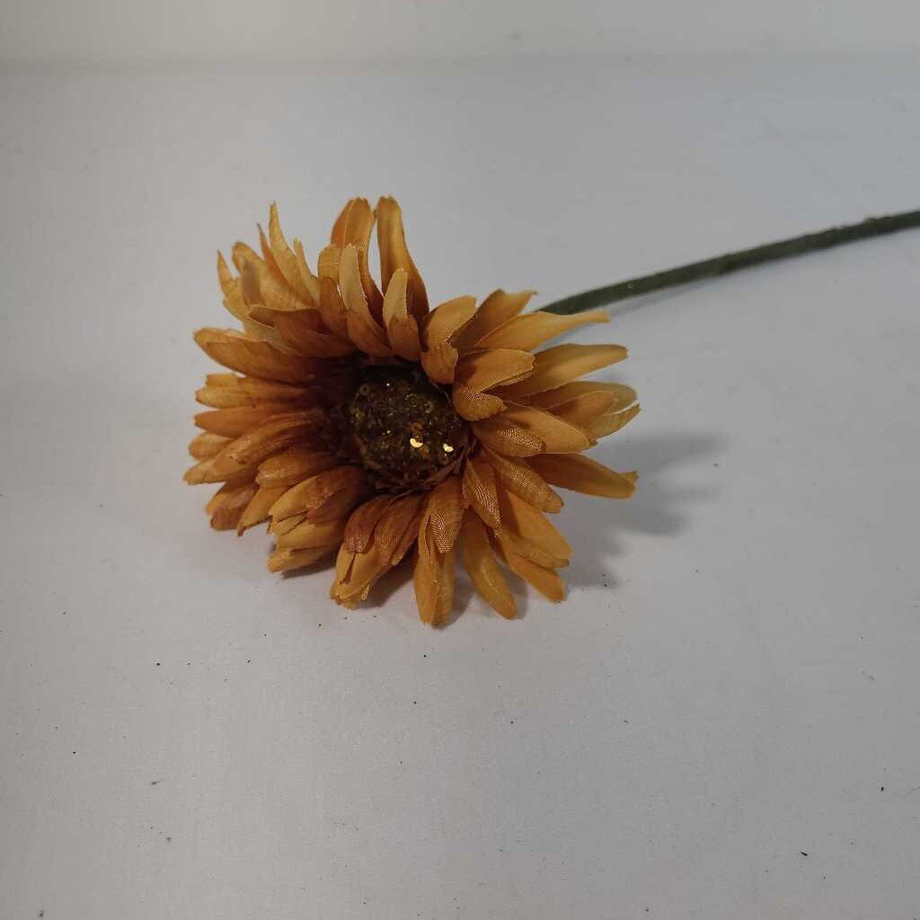 ORANGE VARIGATED DAISY