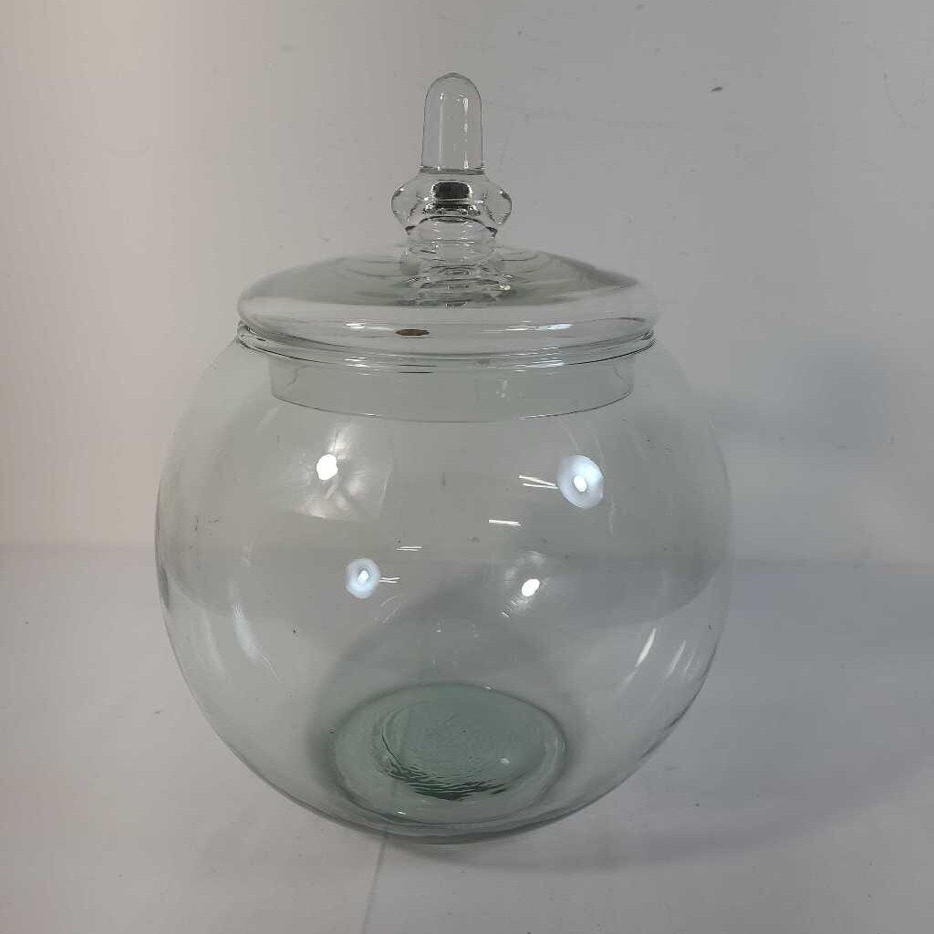 GLASS TERRARIUM W/ LID