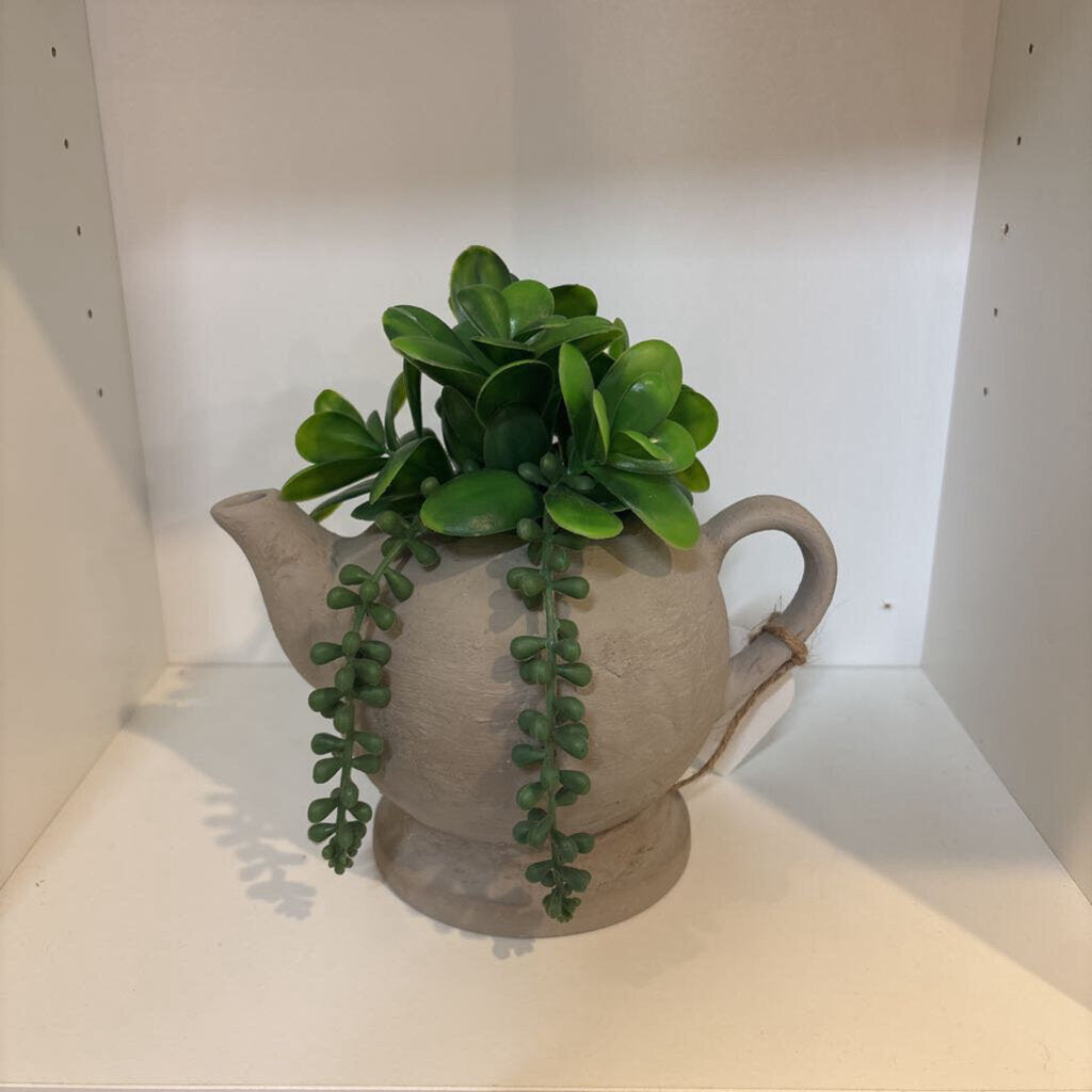 Concrete Teapot with Succulents