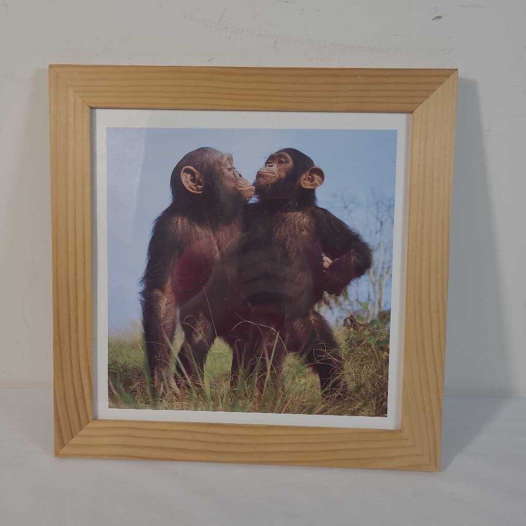 MONKEY FRAMED ART