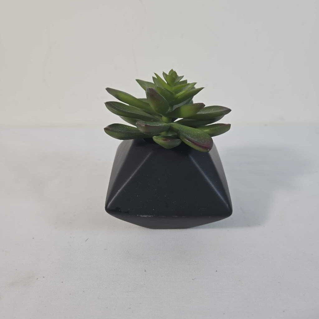 FAUX SUCCULENT