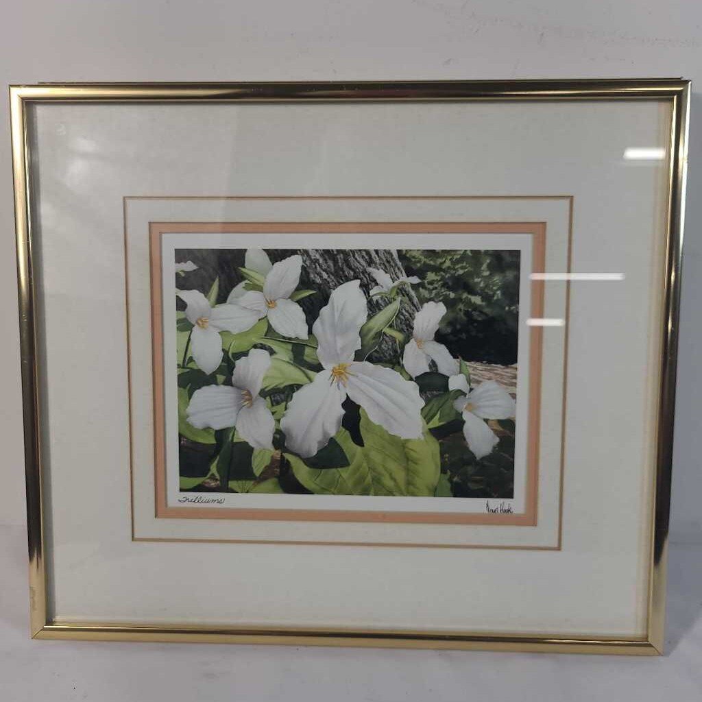 TRILLIUMS ~ DOUG HOOK