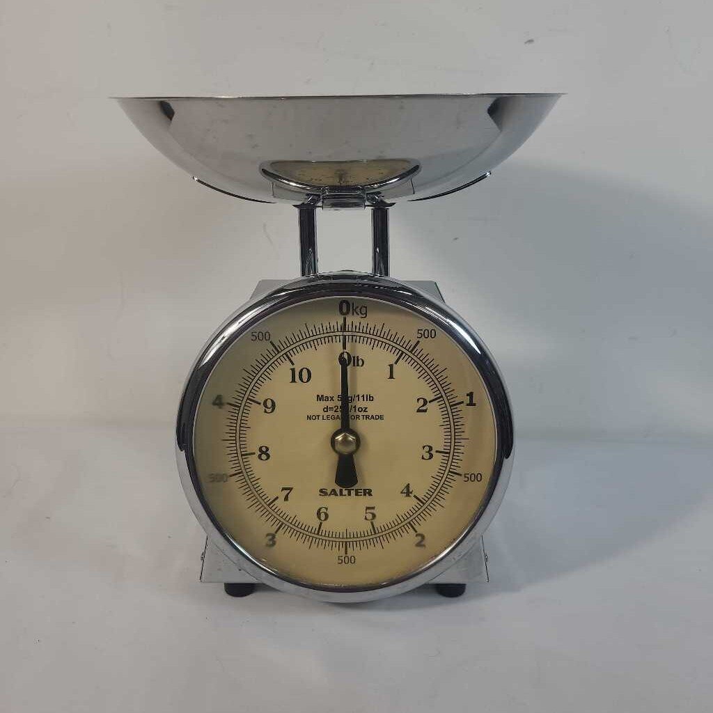 SALTER STAINLESS SCALE