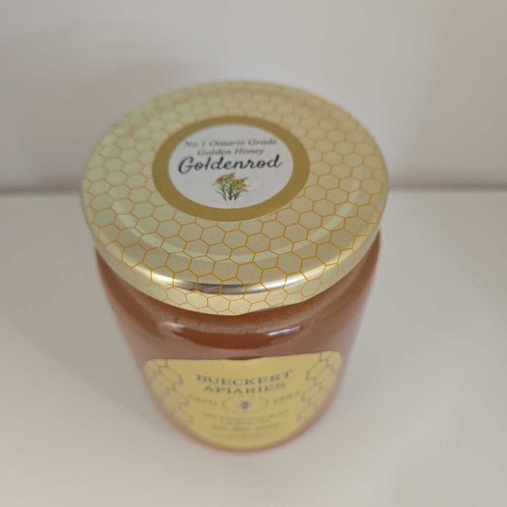 BA 500mL HONEY GOLDENROD