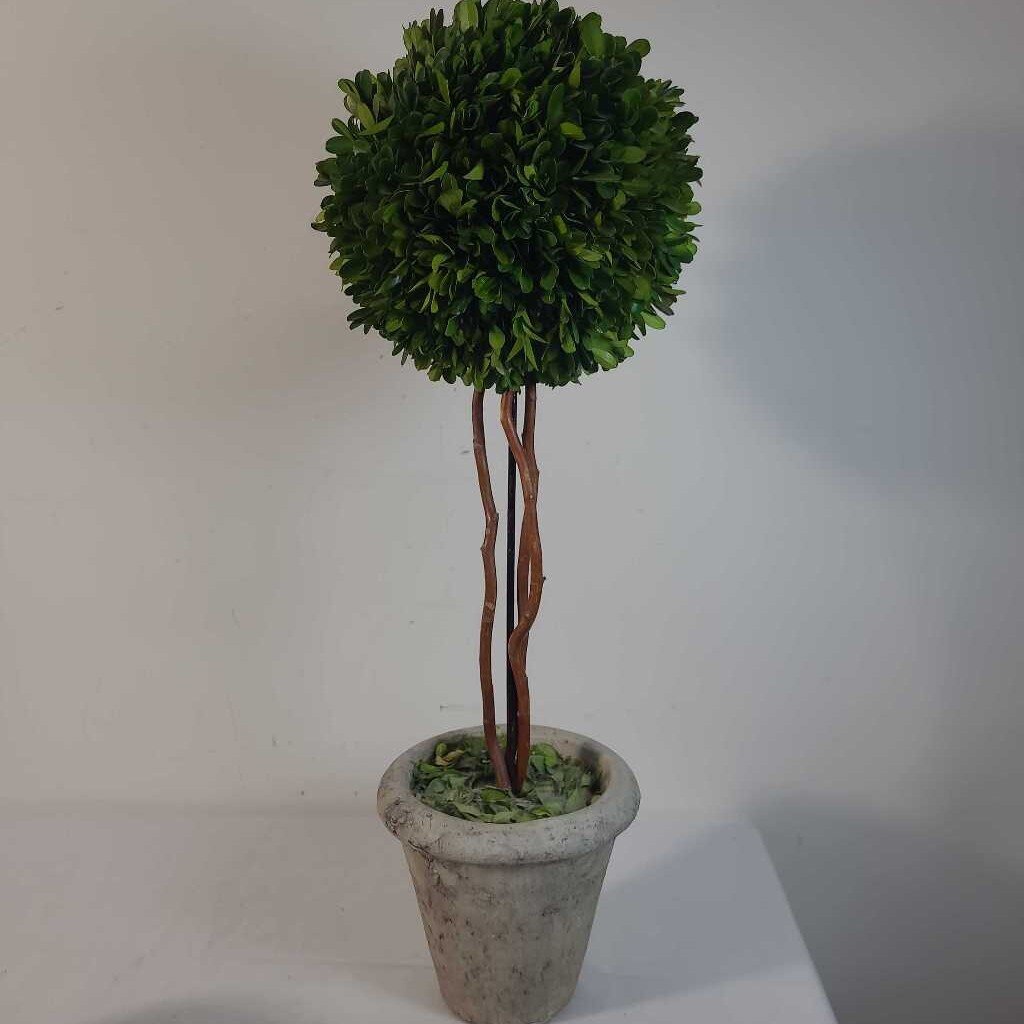 FAUX BOXWOOD TOPIARY