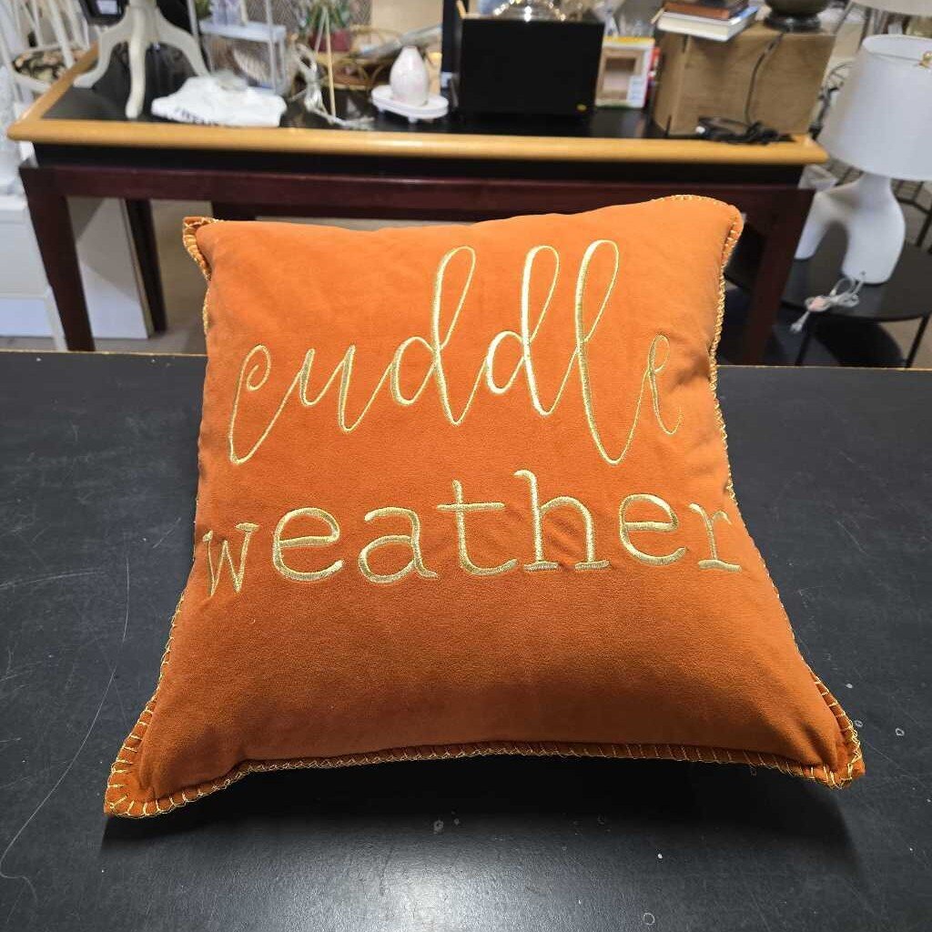 CUDDLE WEATHER DOWN FILLED PILLOW