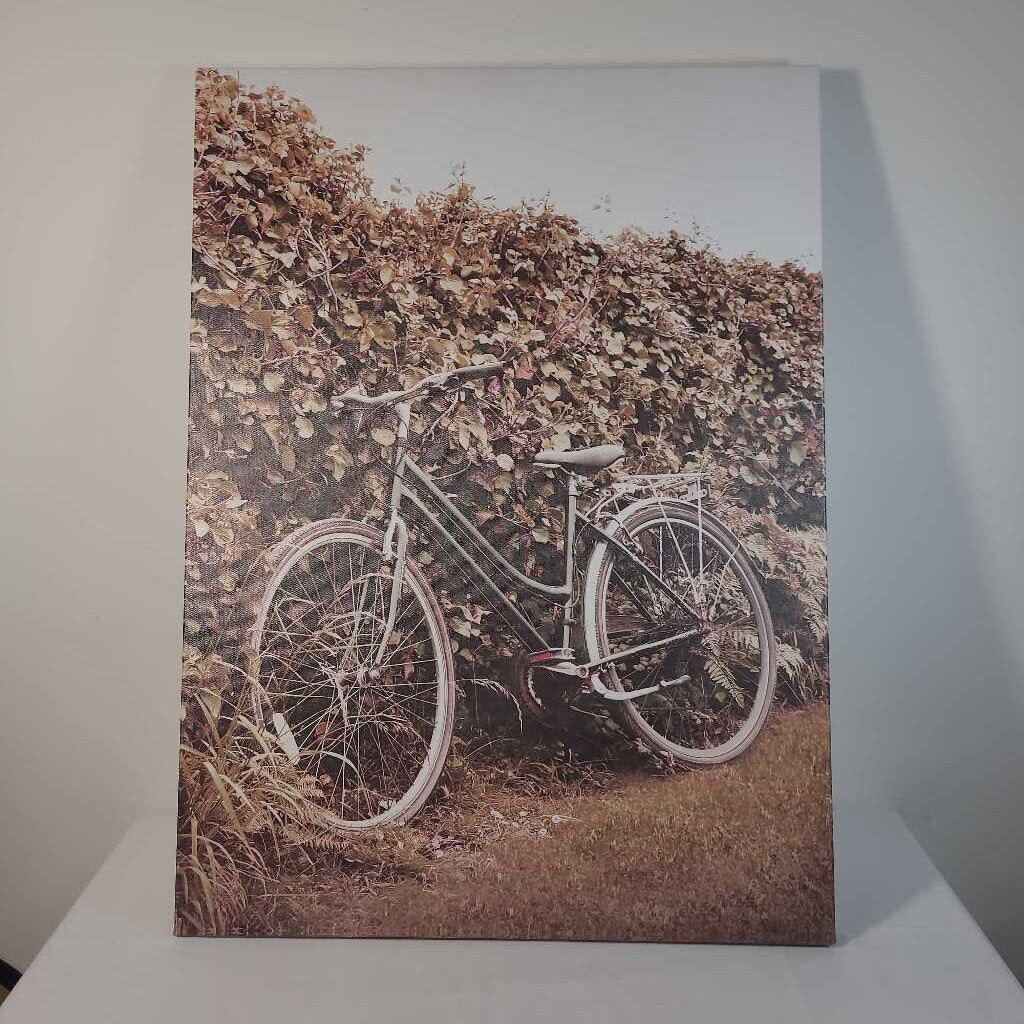 BICYCLE CANVAS