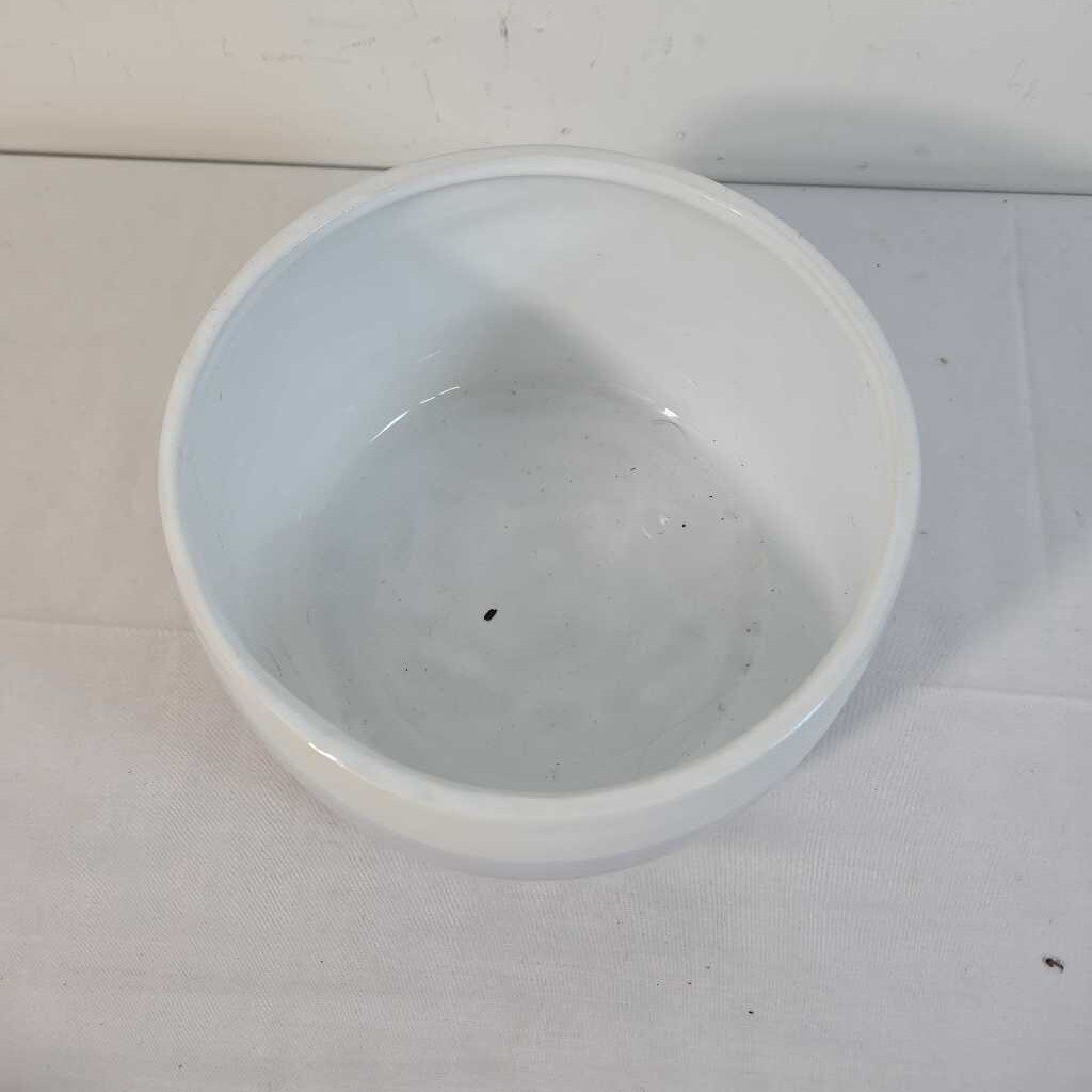PURPLE & WHITE DISH