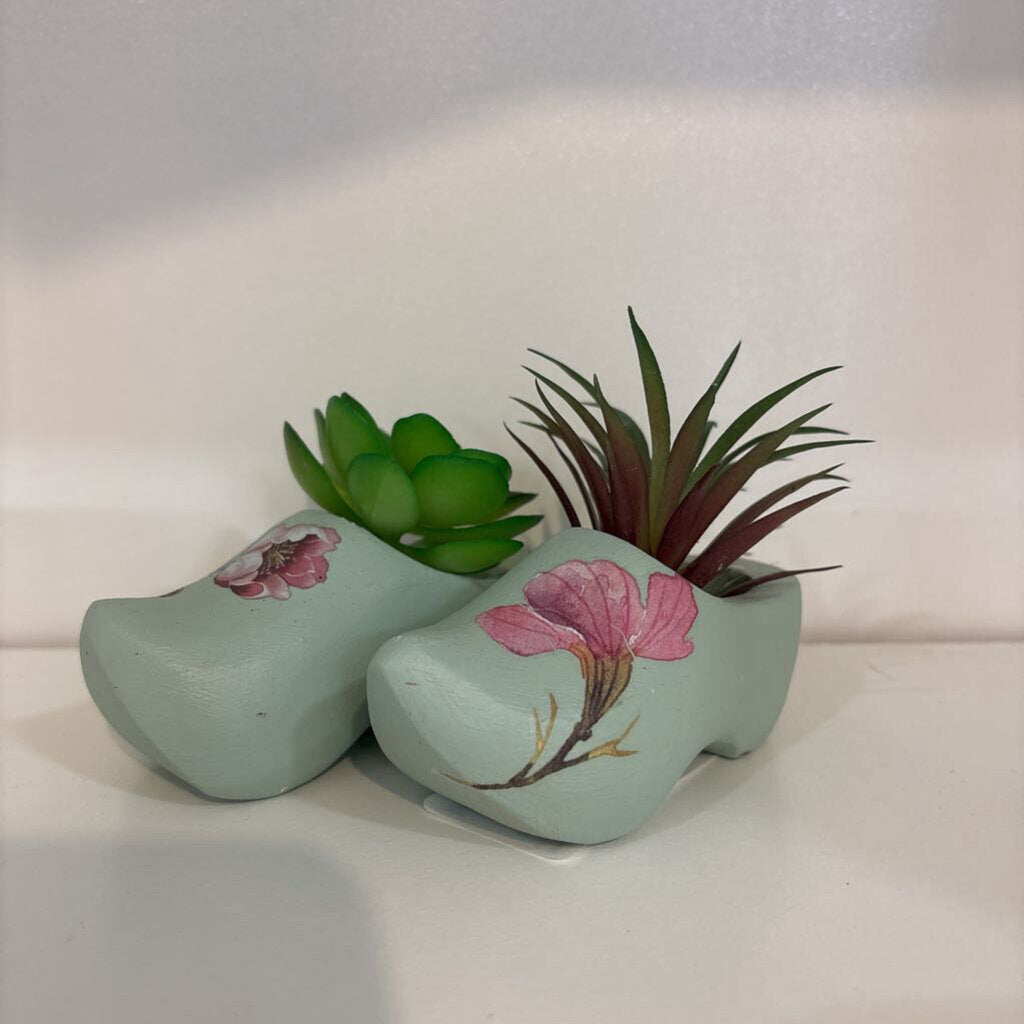 SUCCULENT CLOG