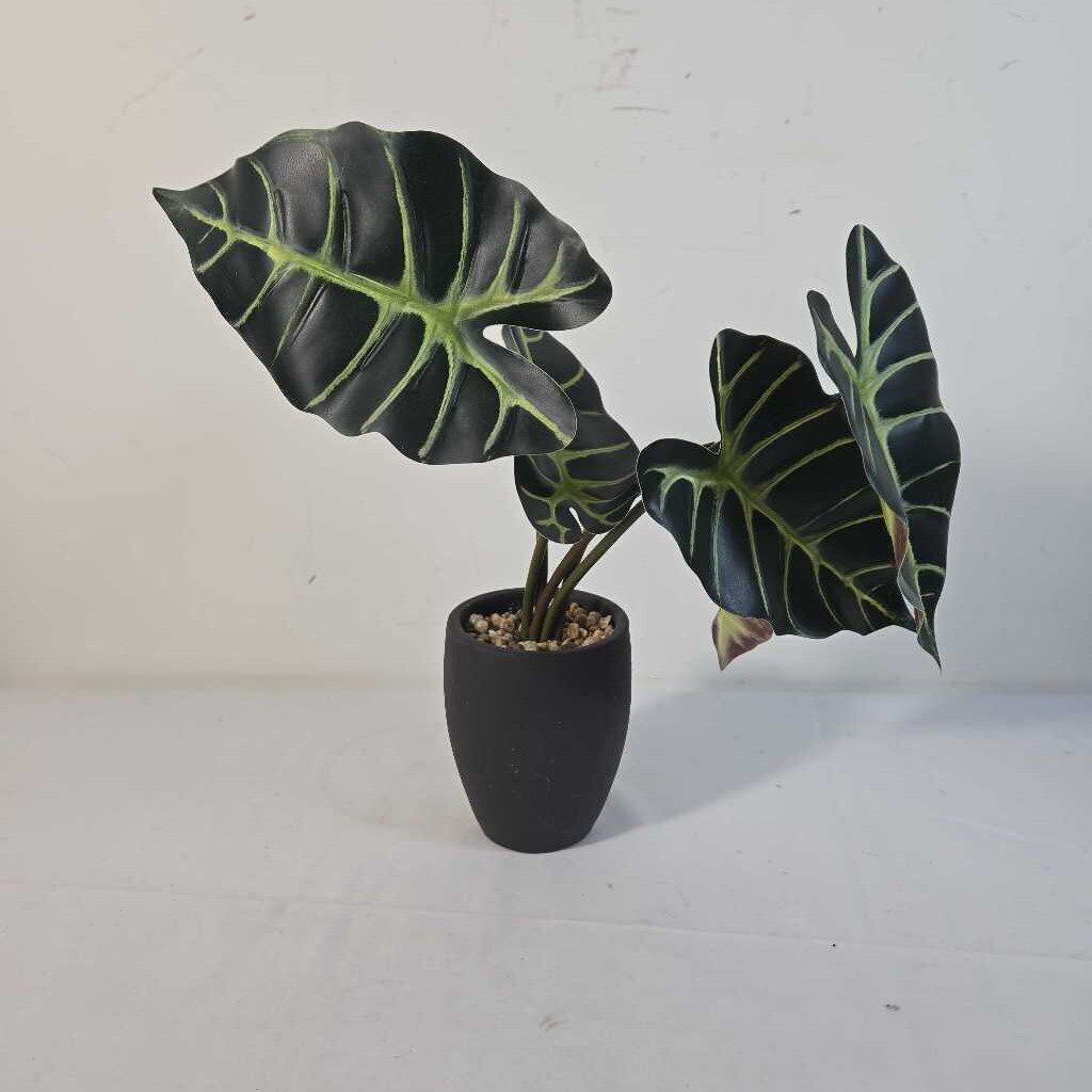 FAUX ALOCASIA IN POT