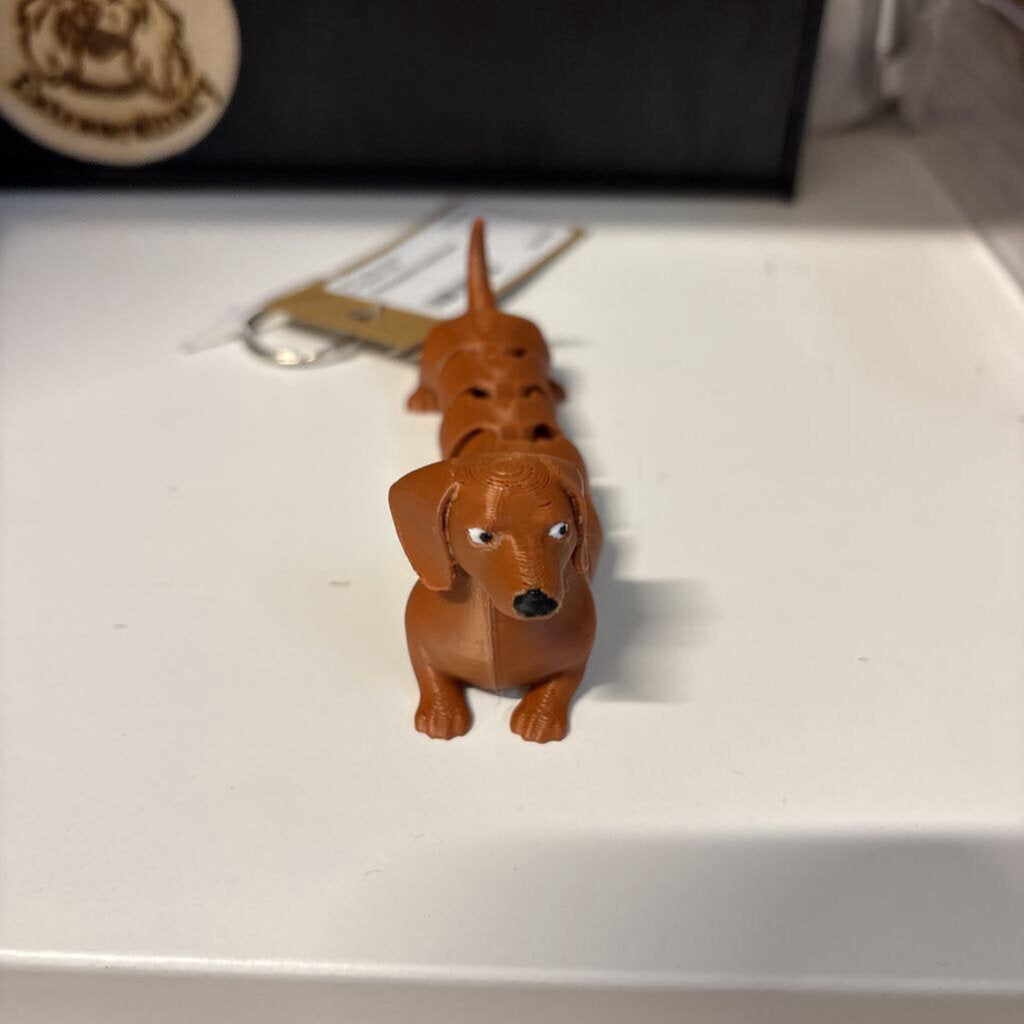 Articulated Dachshund