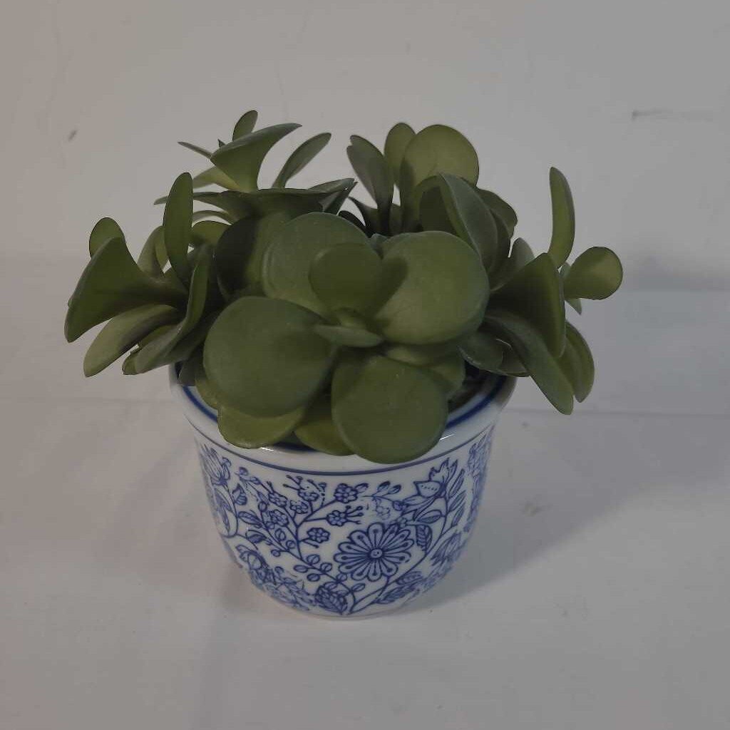 FAUX SUCCULENT IN BLUE & WHITE POT