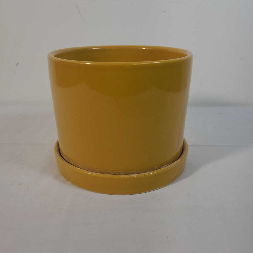 YELLOW POT