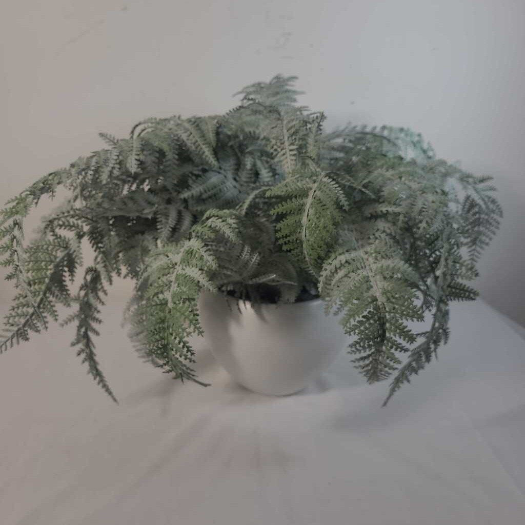 FAUX FERN IN ROUND WHITE POT