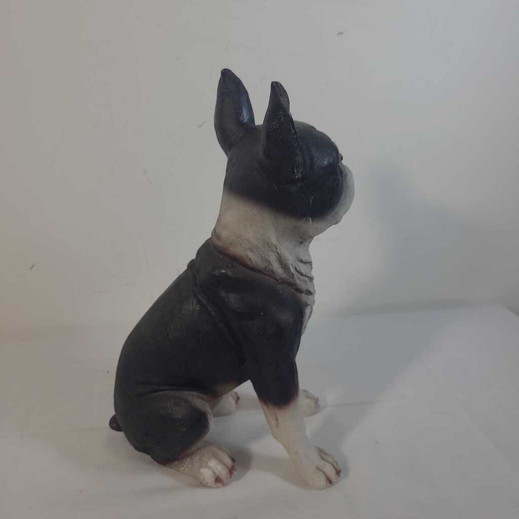 SITTING BOSTON TERRIER - EARS UP